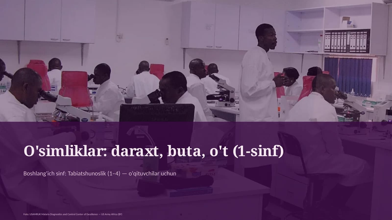 O'simliklar: daraxt, buta, o't (1-sinf)
