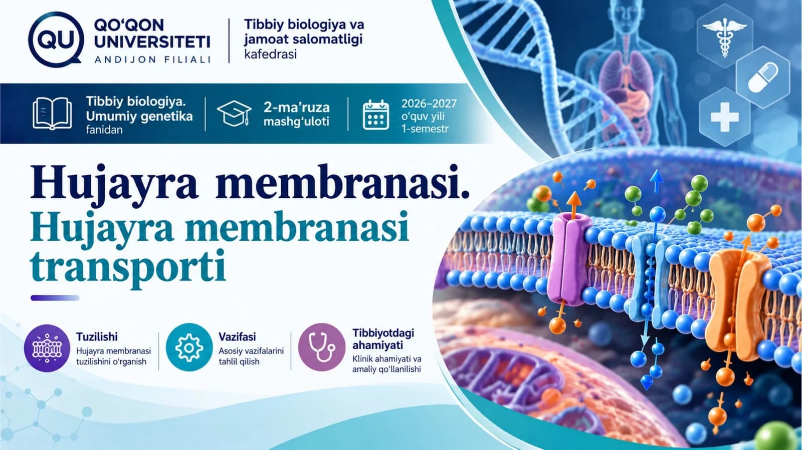HUJAYRA MEMBRANASI