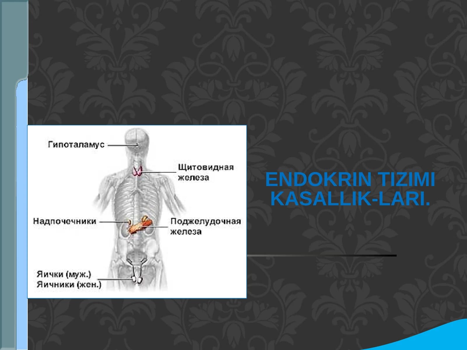 Endokrin tizimi kasallik-lari