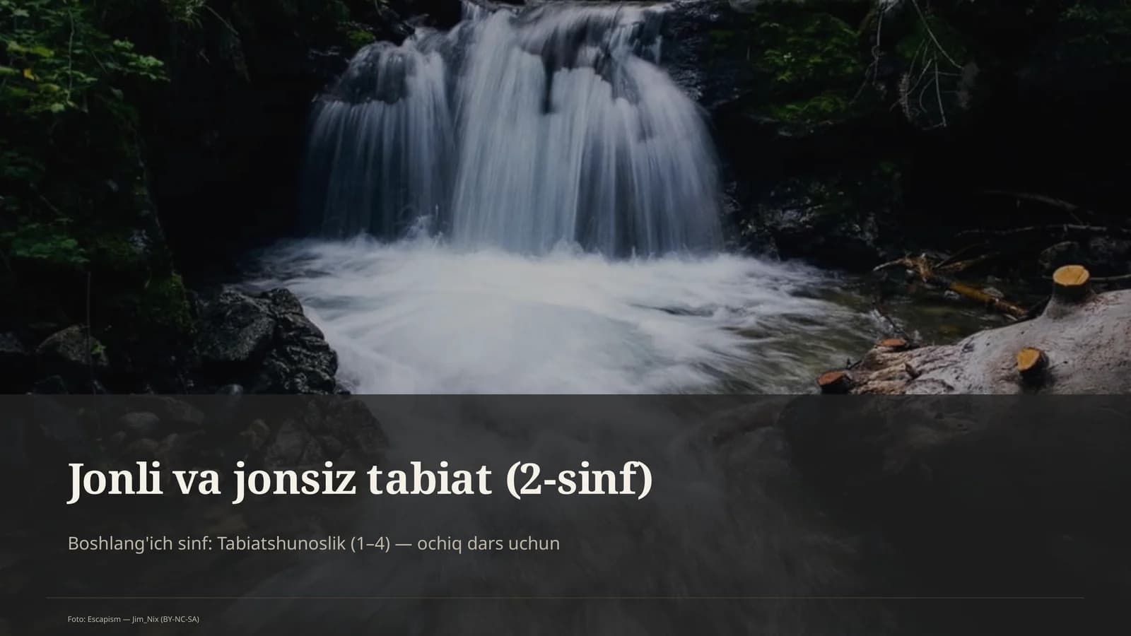 Jonli va jonsiz tabiat (2-sinf)