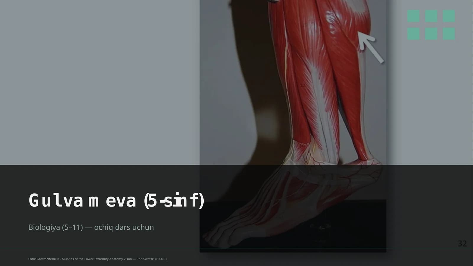Gul va meva (5-sinf)