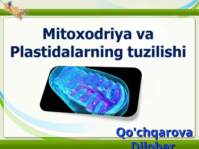Mitoxodriya va Plastidalar