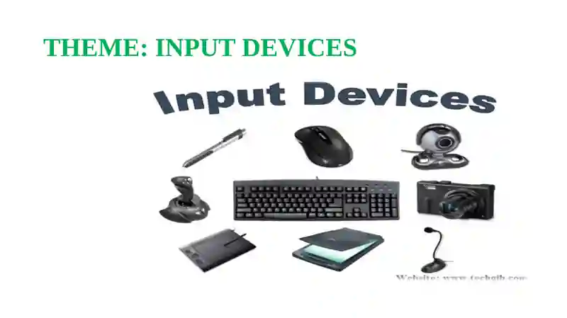 Input Devices