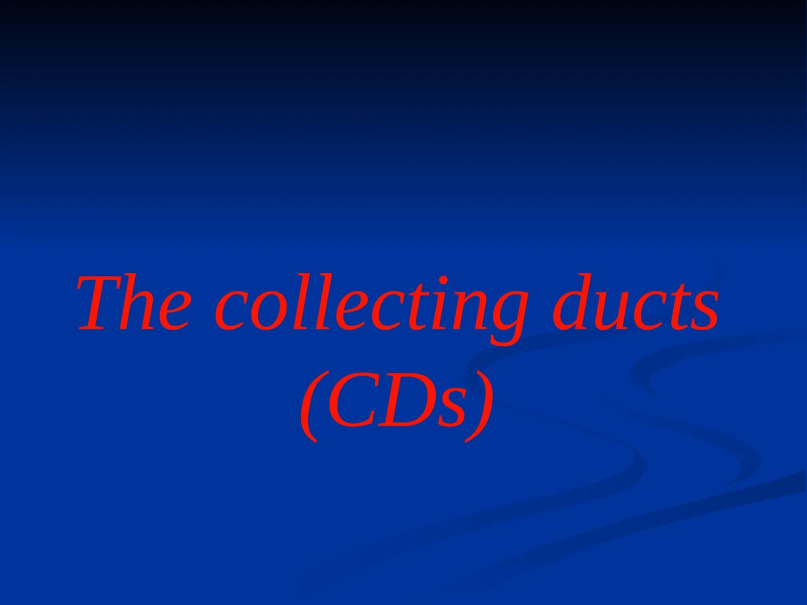 Collecting Ducts (CDs)