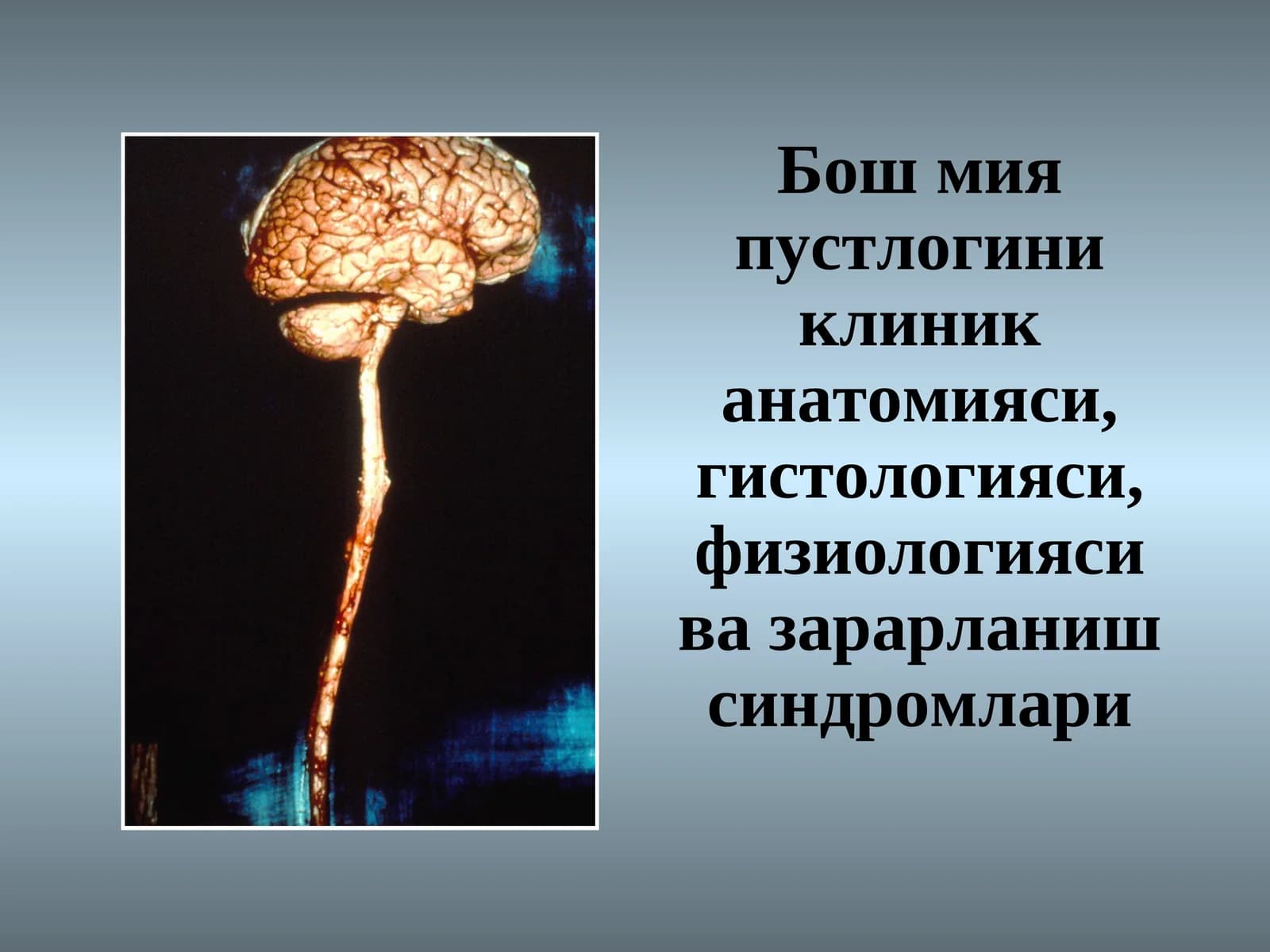 Бош мия пустлоги
