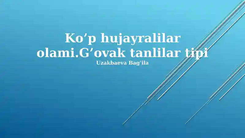 Ko'p hujayralilar olami