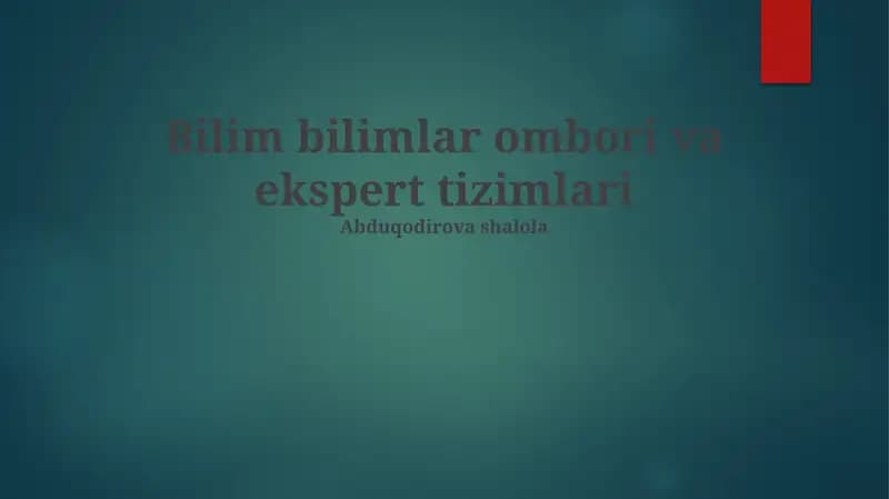 Ekspert Tizimlar