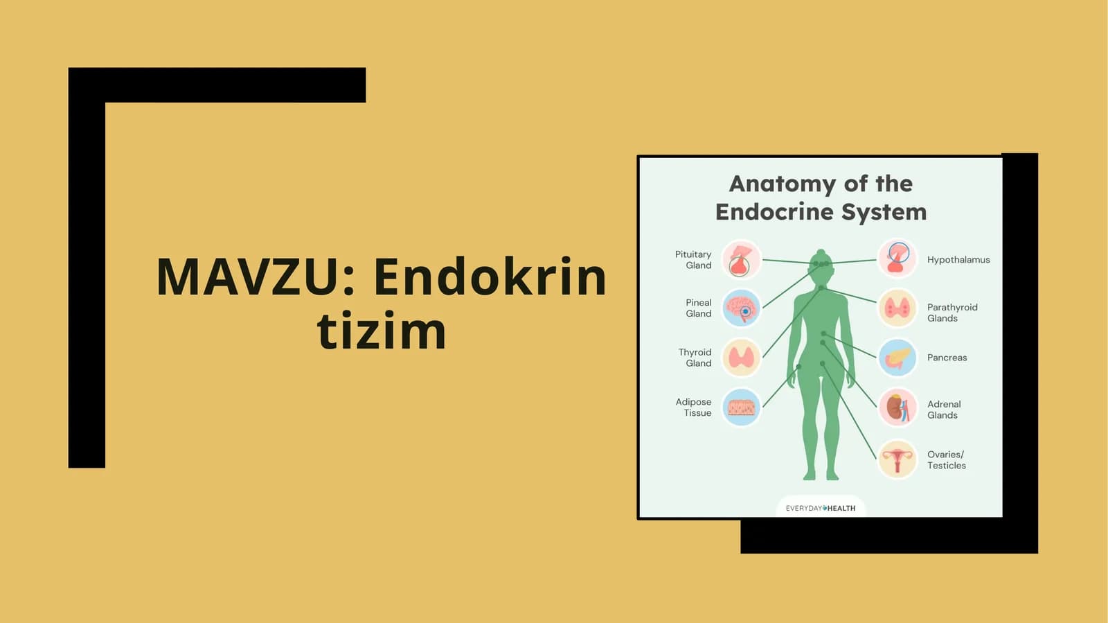 Endokrintizim