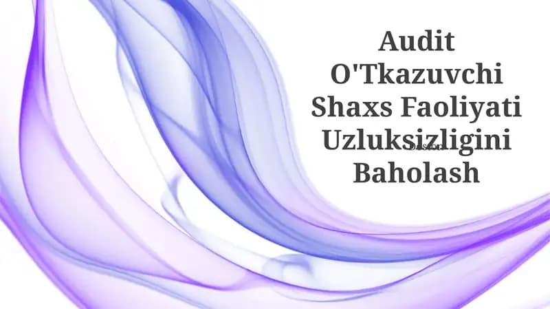 Audit O'Tkazuvchi Shaxs Faoliyati Uzluksizligini Baholash