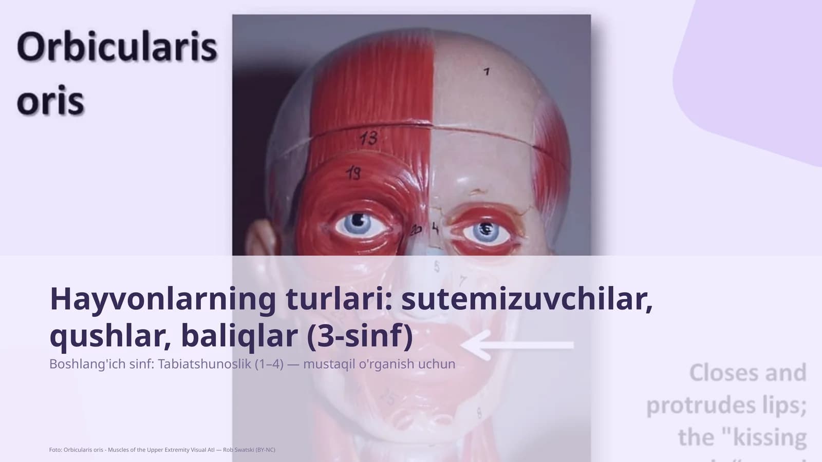 Tabiatshunoslik darsi