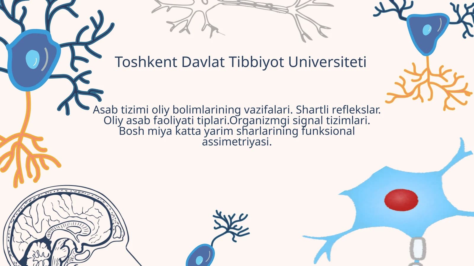 Asab tizimi oliy bolimlarining vazifalari. Shartli reflekslar. Oliy asab faoliyati tiplari.Organizmg