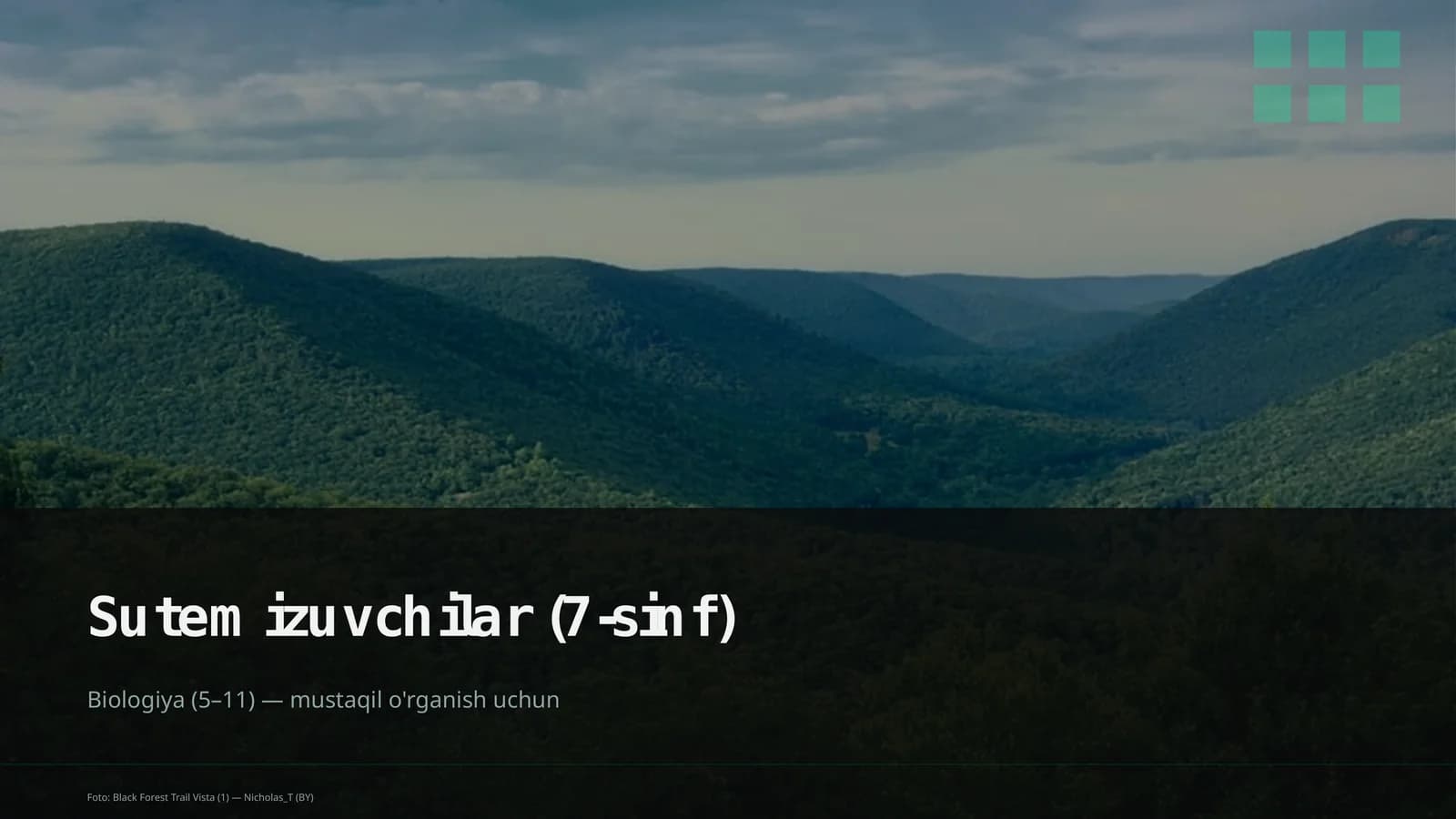 Sutemizuvchilar (7-sinf)