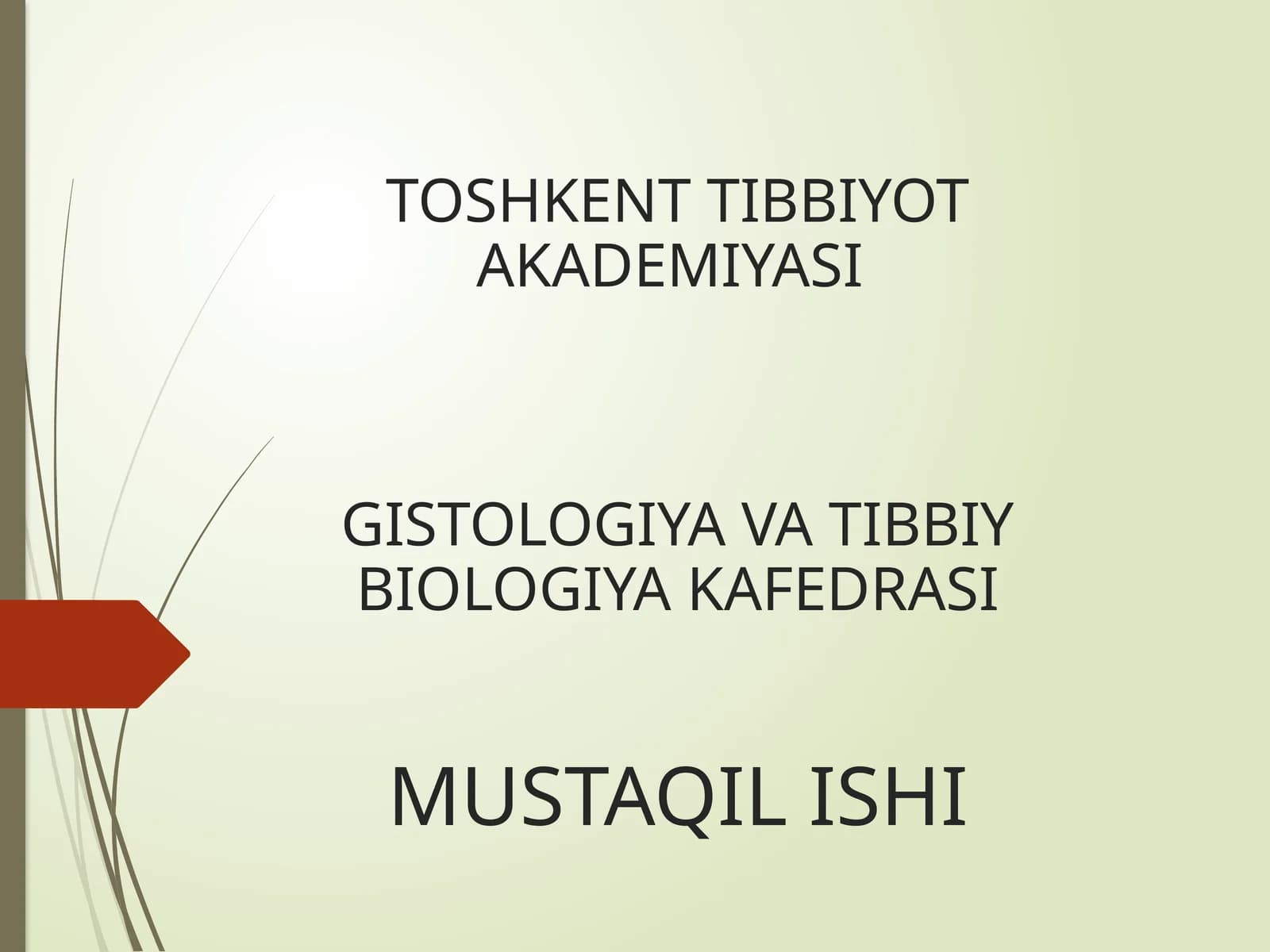 Yurak-qon tomir sistemasining tuzilishi