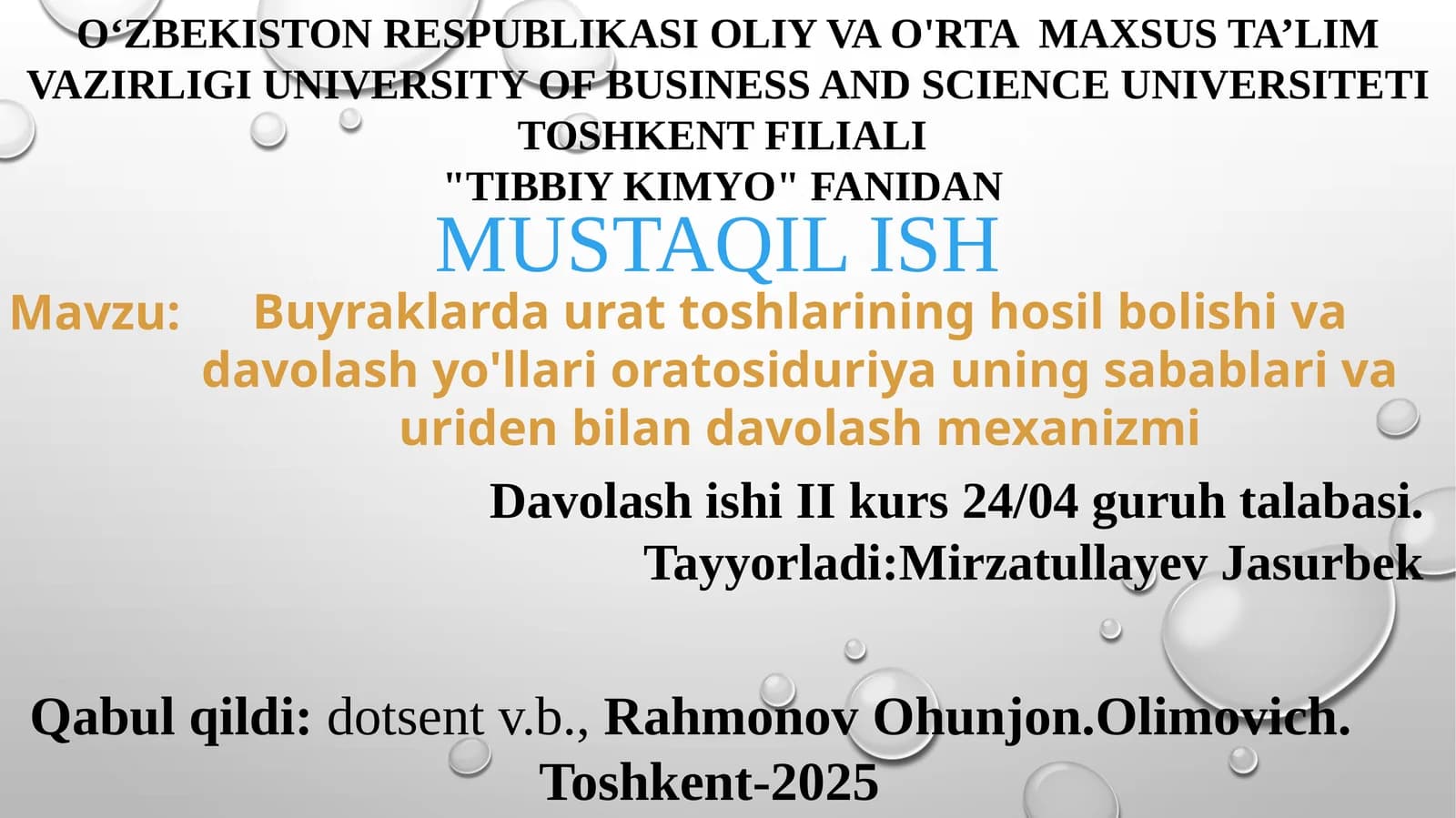 mustaqil ish