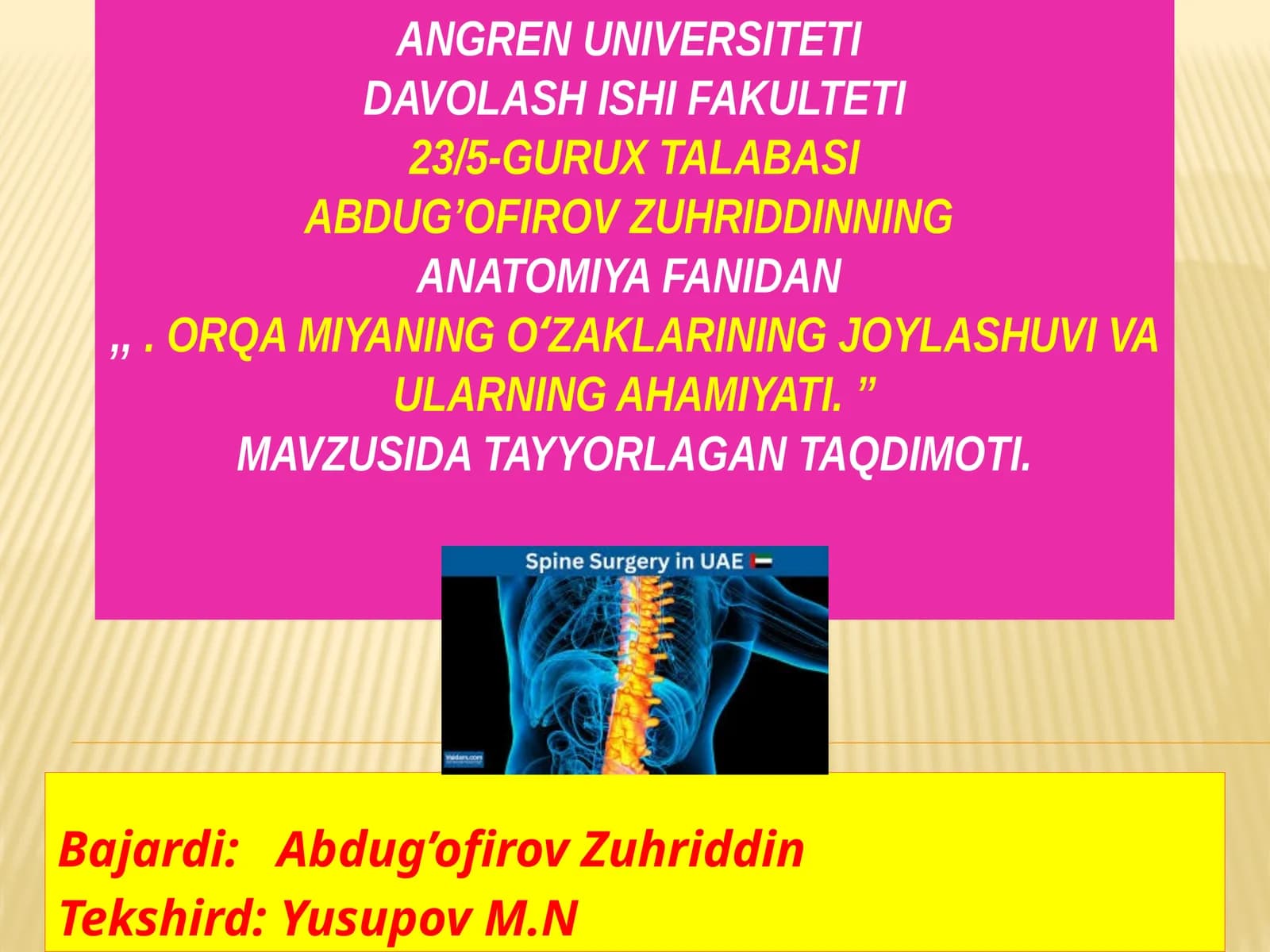 Orqamiyaning anatomik tashkili