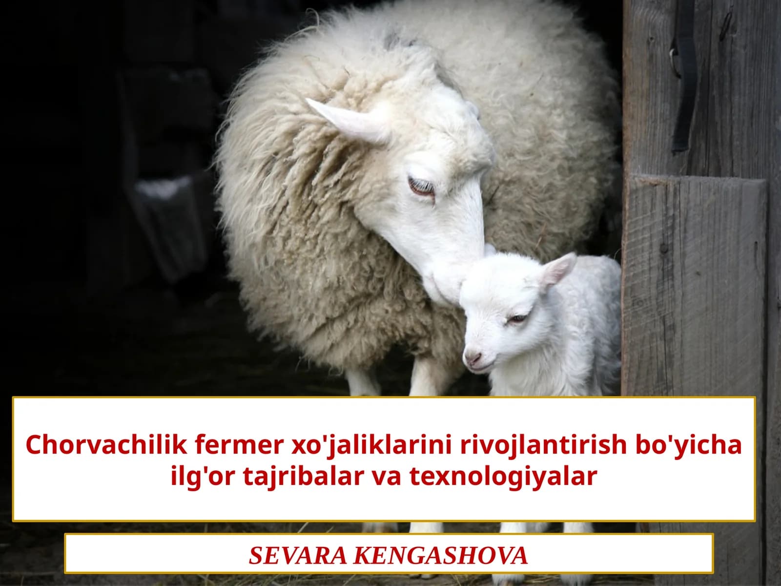 Baliq va boshqa dengiz mahsulotlari