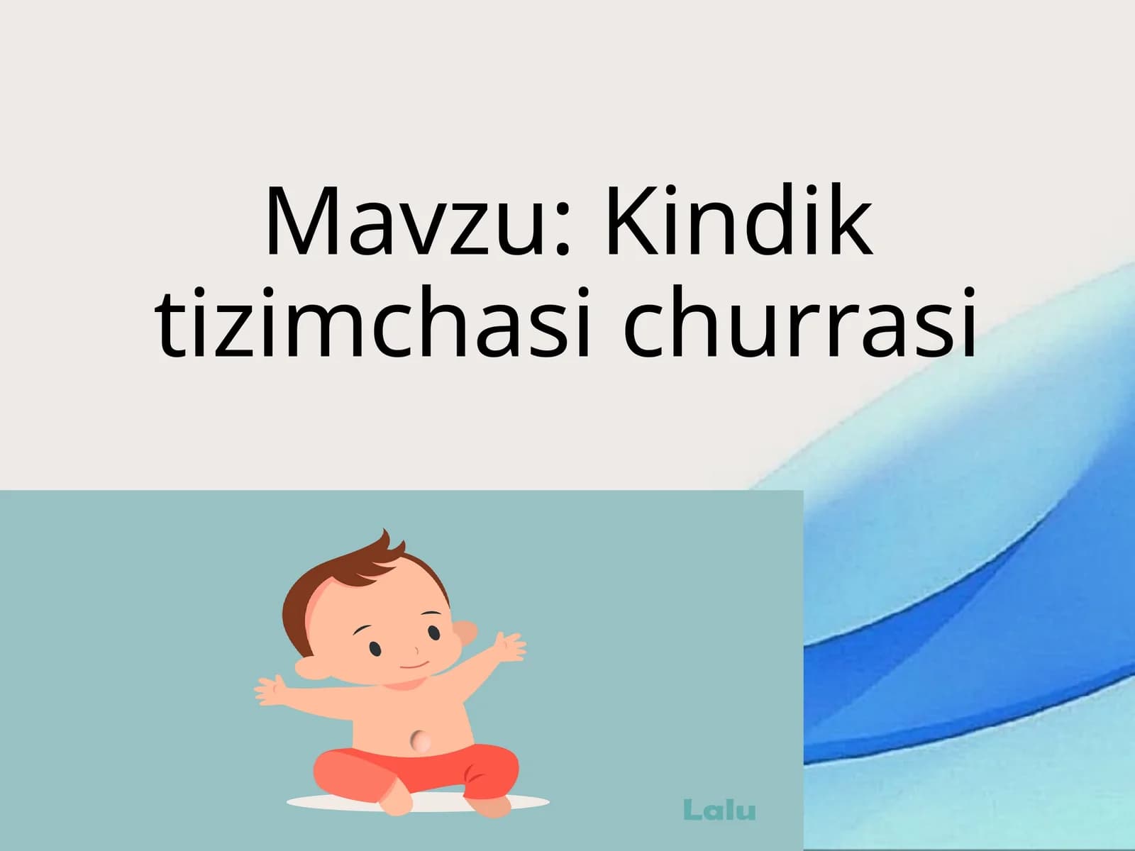 Kindiktizimchasichurrasi