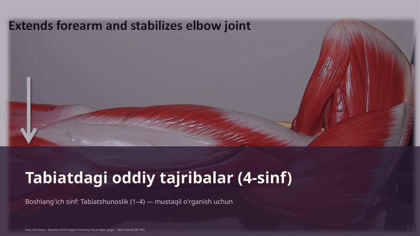 Tabiatdagi oddiy tajribalar (4-sinf)