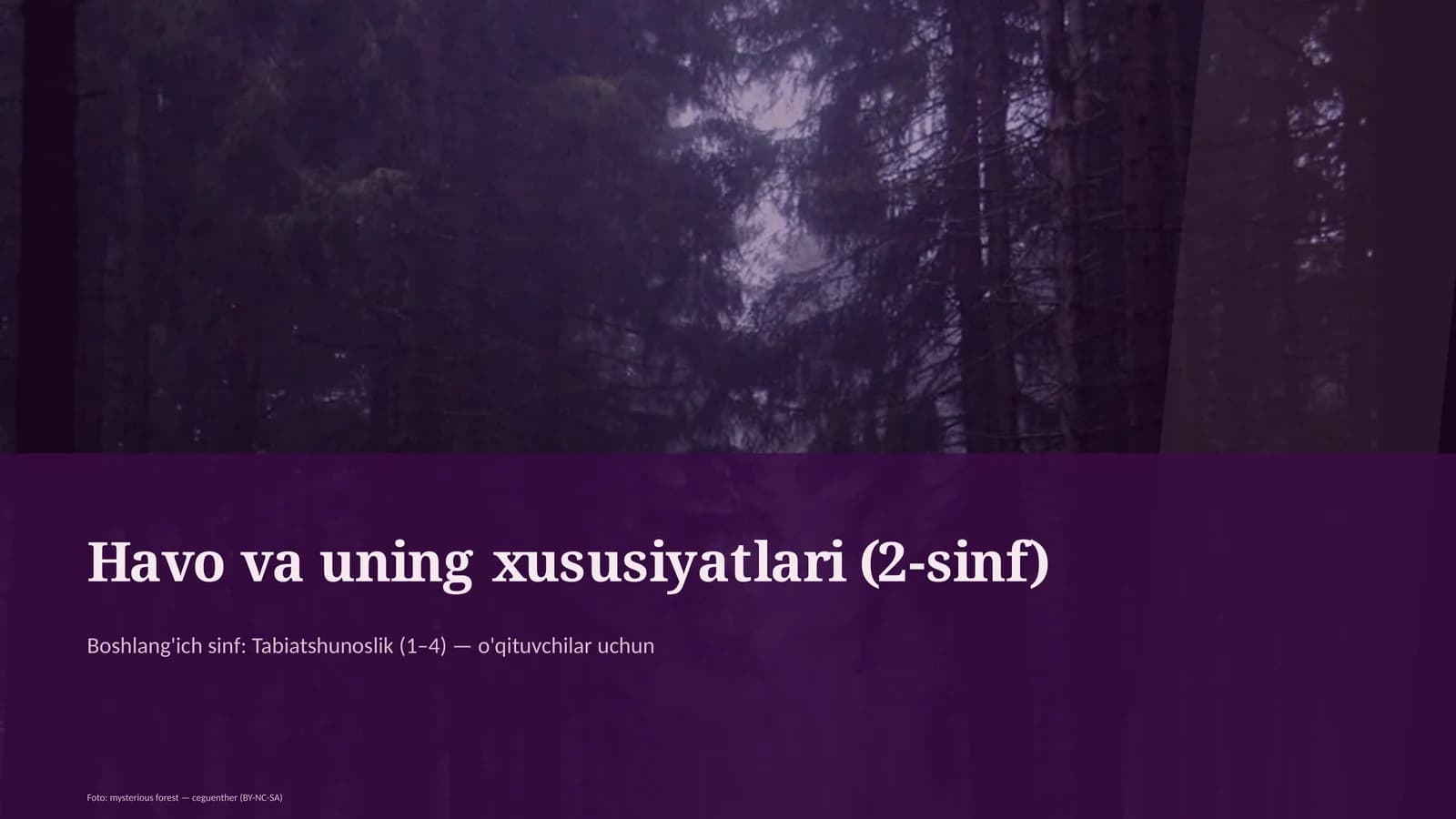 Havo va uning xususiyatlari (2-sinf)