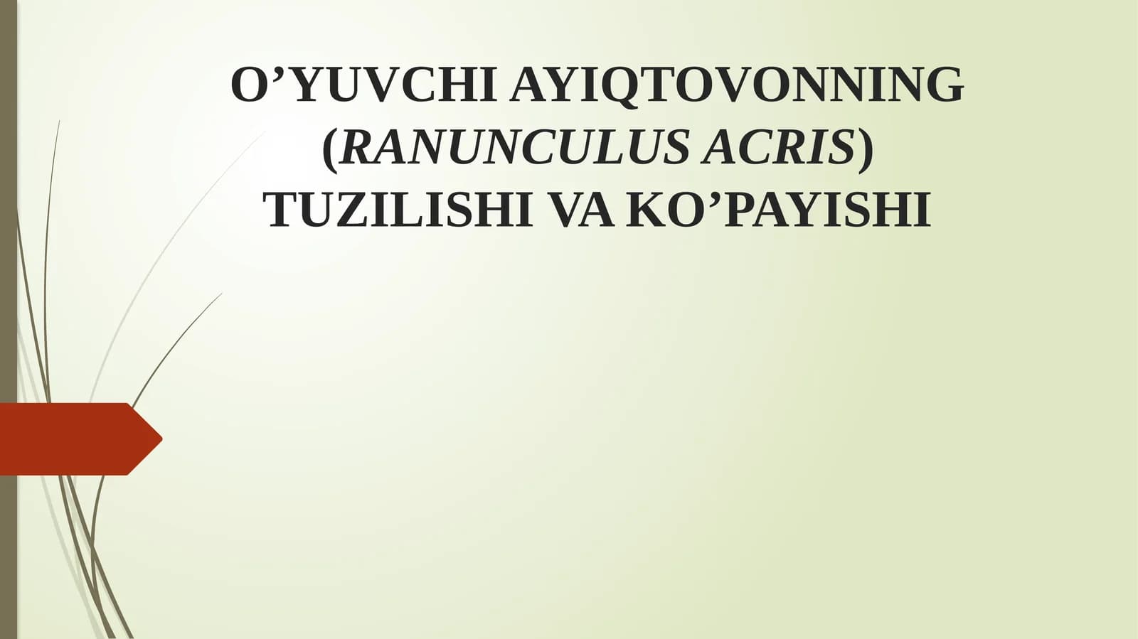 O’yuvchi ayiqtovonning (Ranunculus acris) tuzilishi va ko’payishi