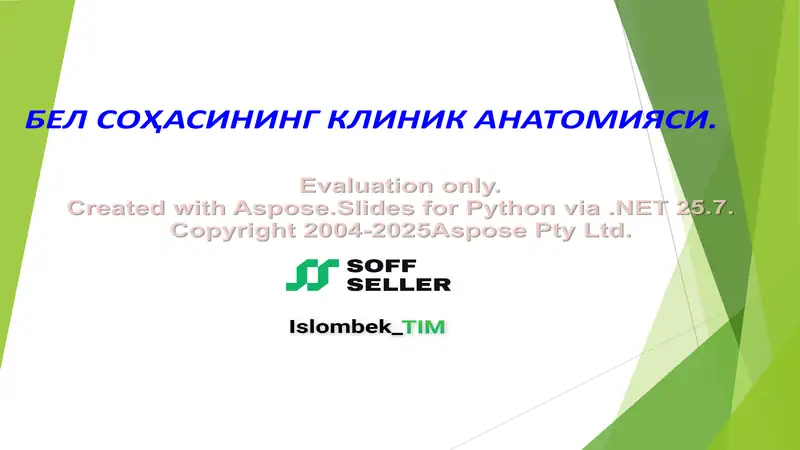 Bel sohasining klinik anatomiyasi