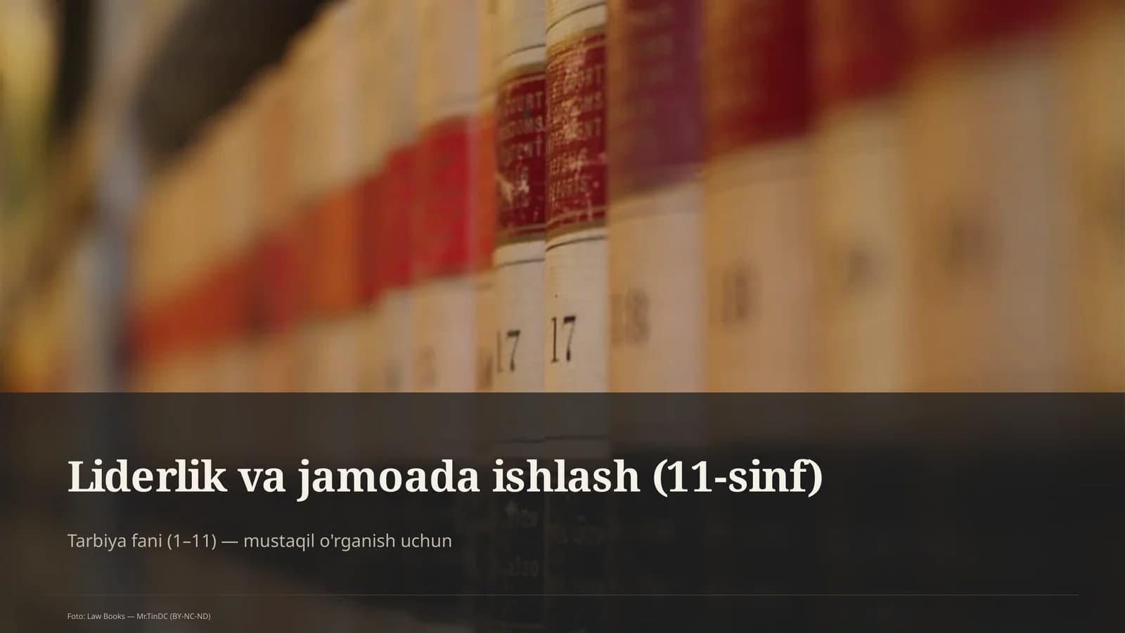 Liderlik va jamoada ishlash (11-sinf)