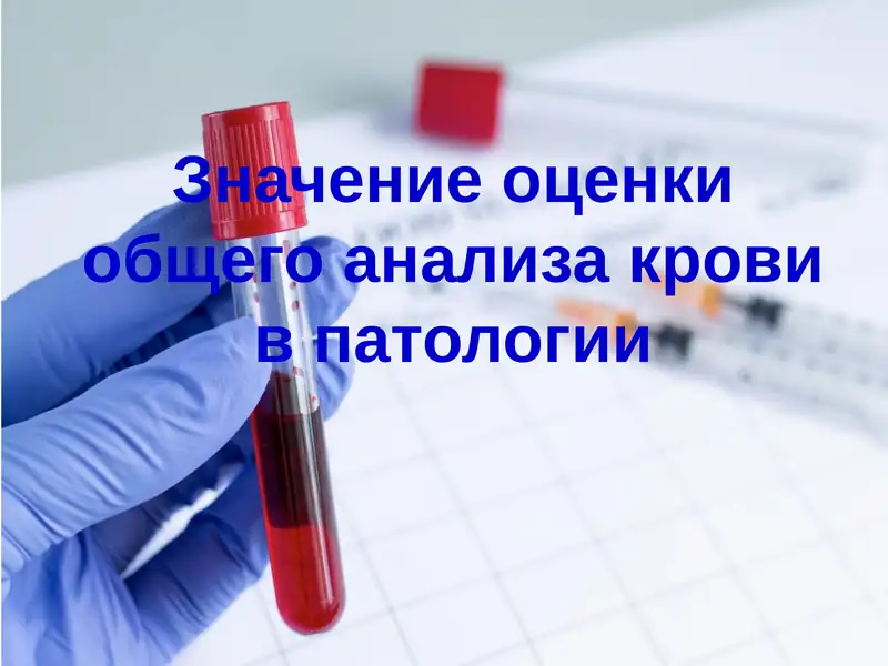 Норма анализа крови