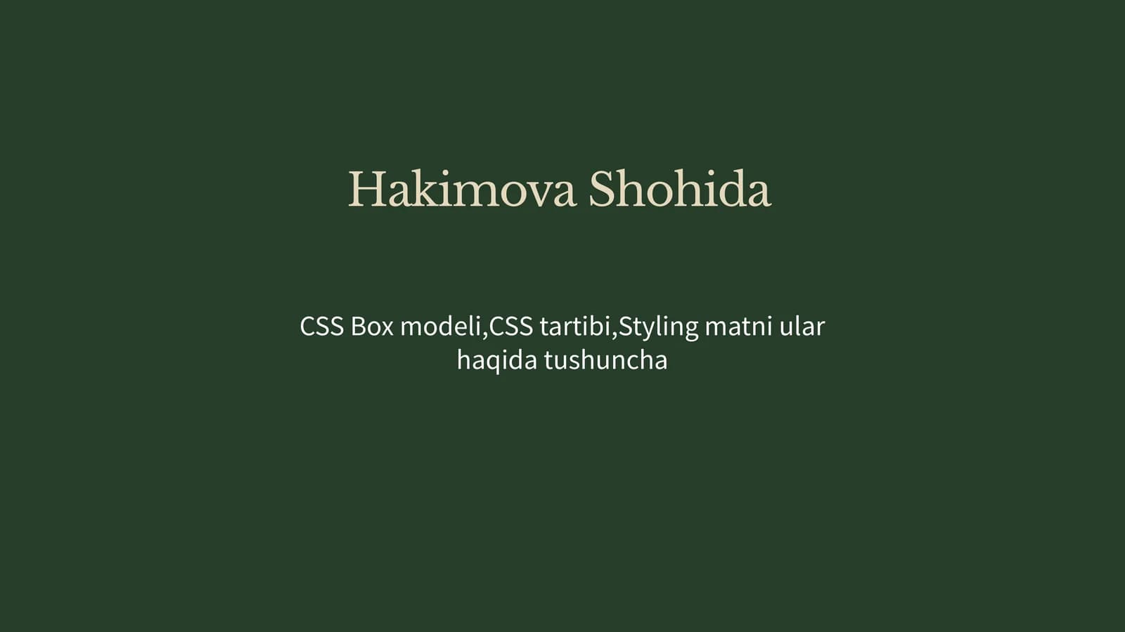CSS Boxmodeli
