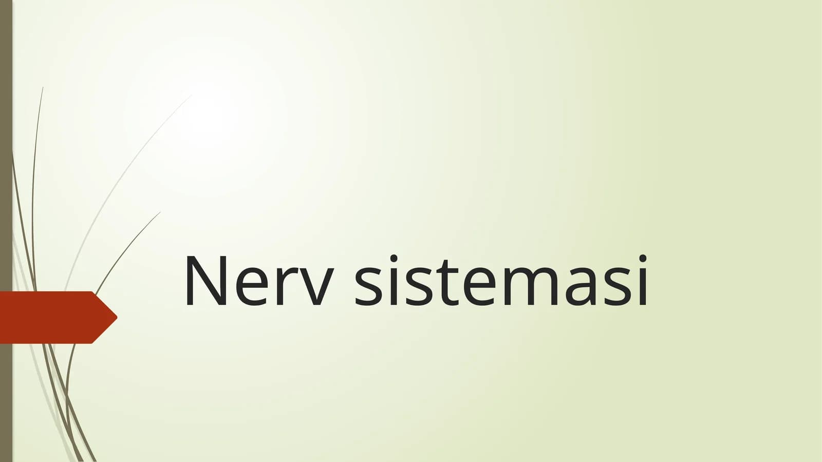 Nerv sistemasi