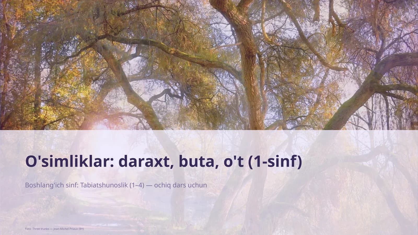 Tabiatshunoslik
