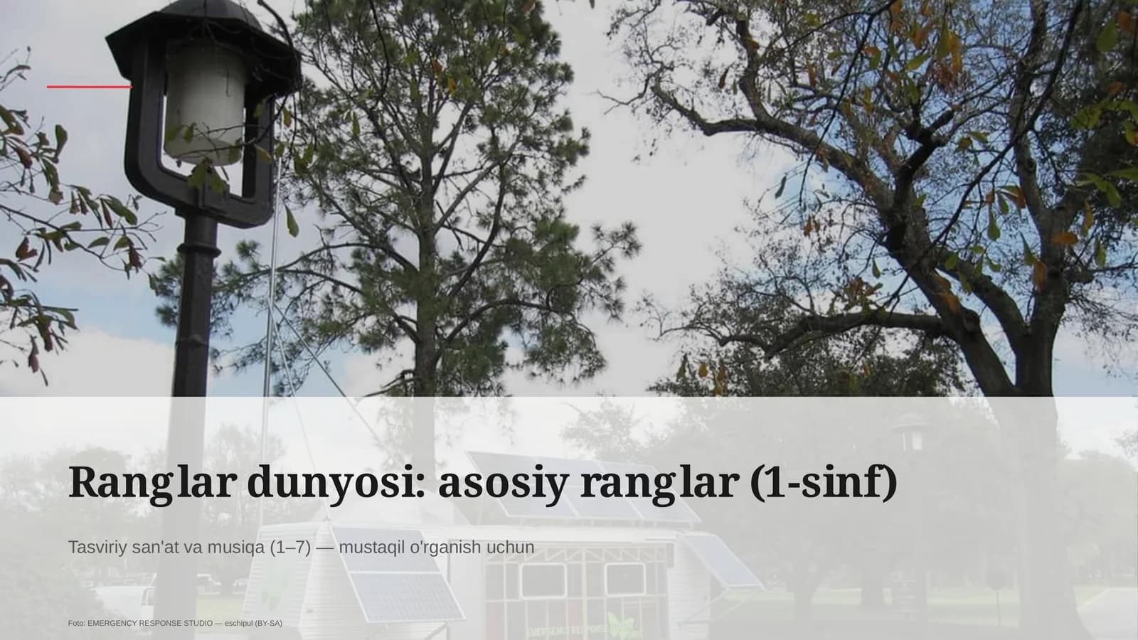 Ranglar dunyosi: asosiy ranglar (1-sinf)