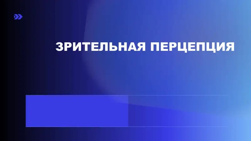 ЗРИТЕЛЬНАЯ ПЕРЦЕПЦИЯ