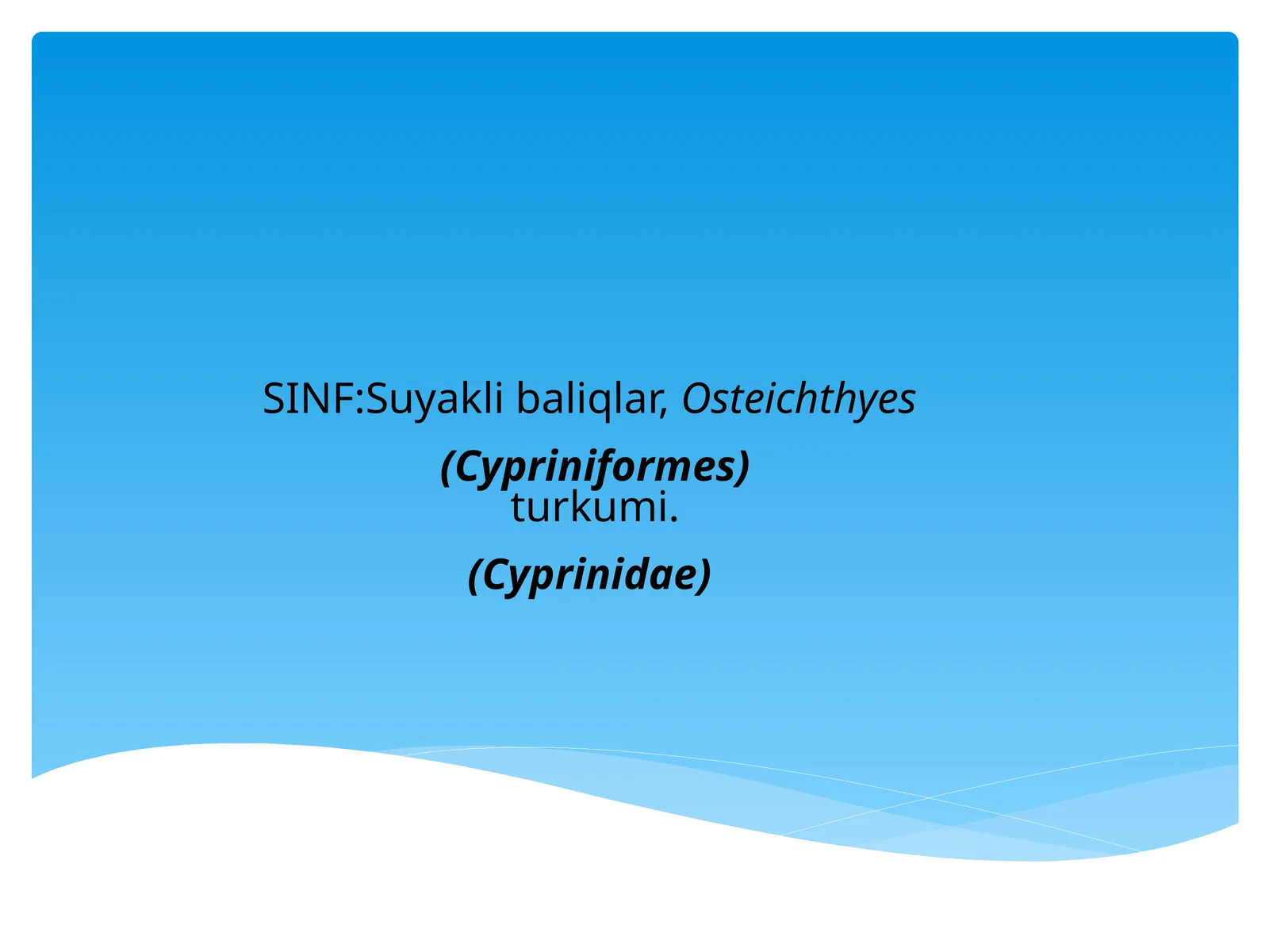 Suyaklibaliqlar