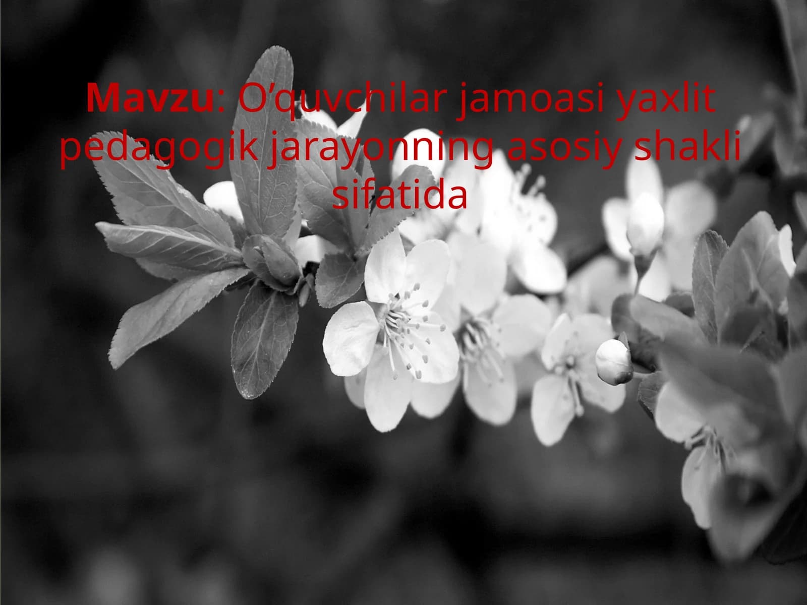 O’quvchilar jamoasi axliy pedagogik jarayonning asosiy shakli sifatida