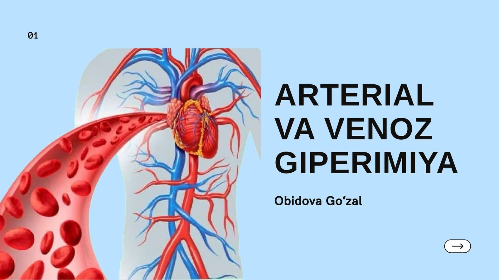 ARTERIAL VA VENOZ GIPERIMIYA