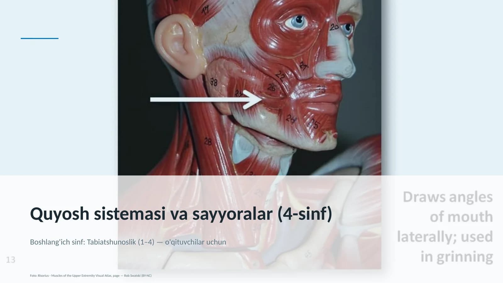 Quyosh sistemasi va sayyoralar (4-sinf)
