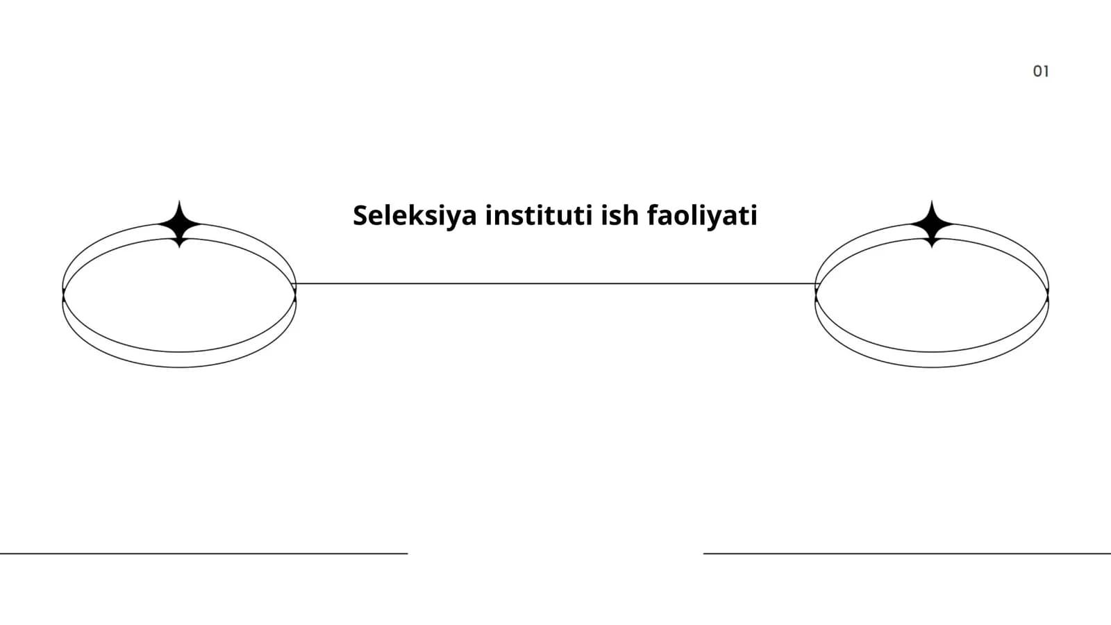 Seleksiya Instituti Ish Faoliyati