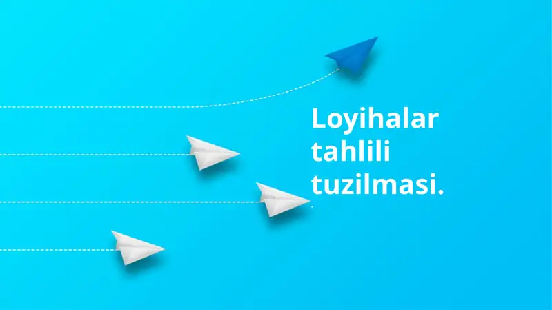 Loyihalar tahlili tuzilmasi