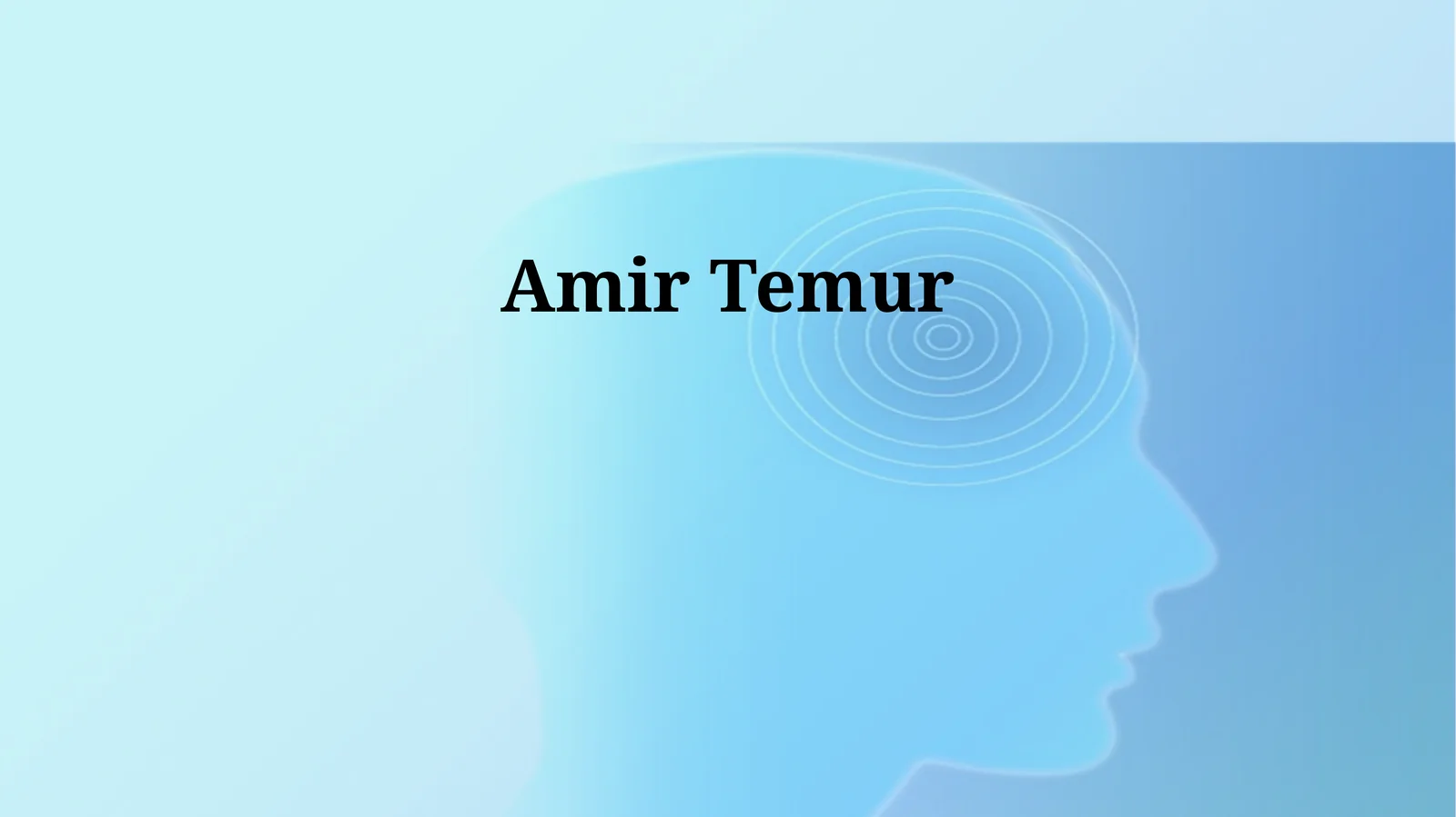 Amir Temur