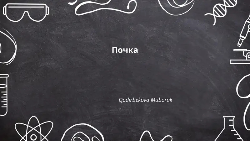 Почка