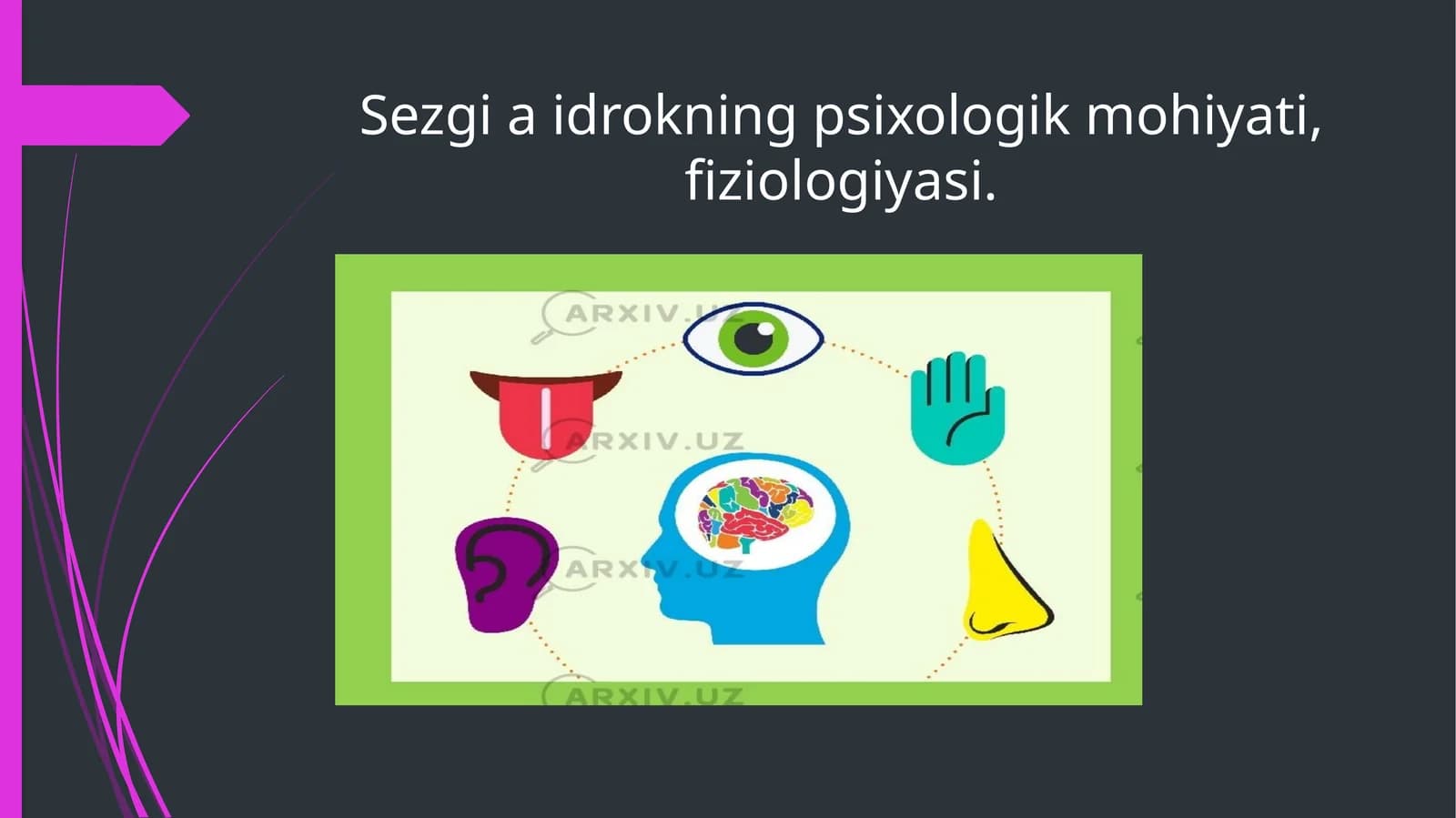 Sezgi va idrokning psixologik mohiyati, fiziologiyasi.