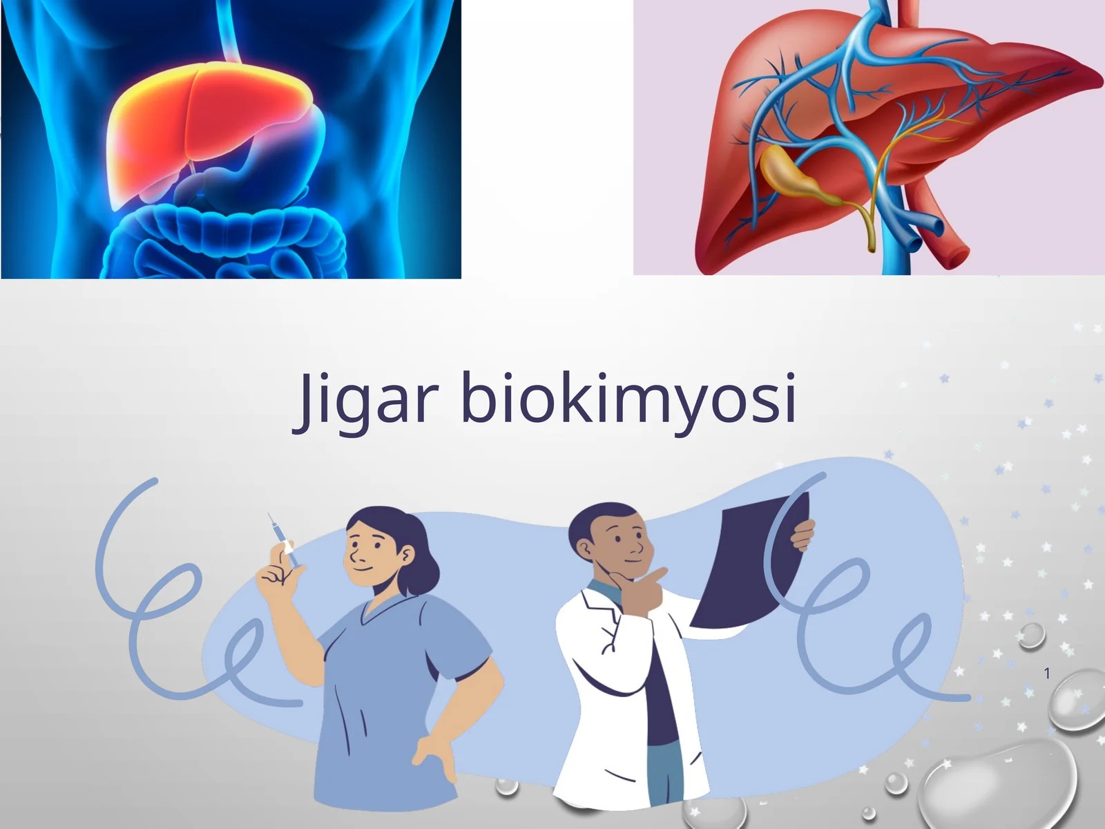Jigar biokimyosi