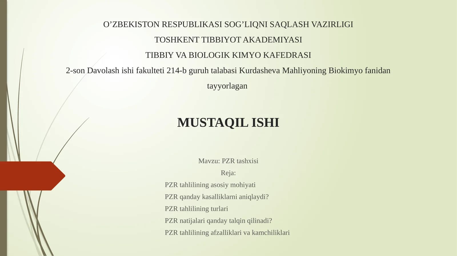 PZRtashxisi