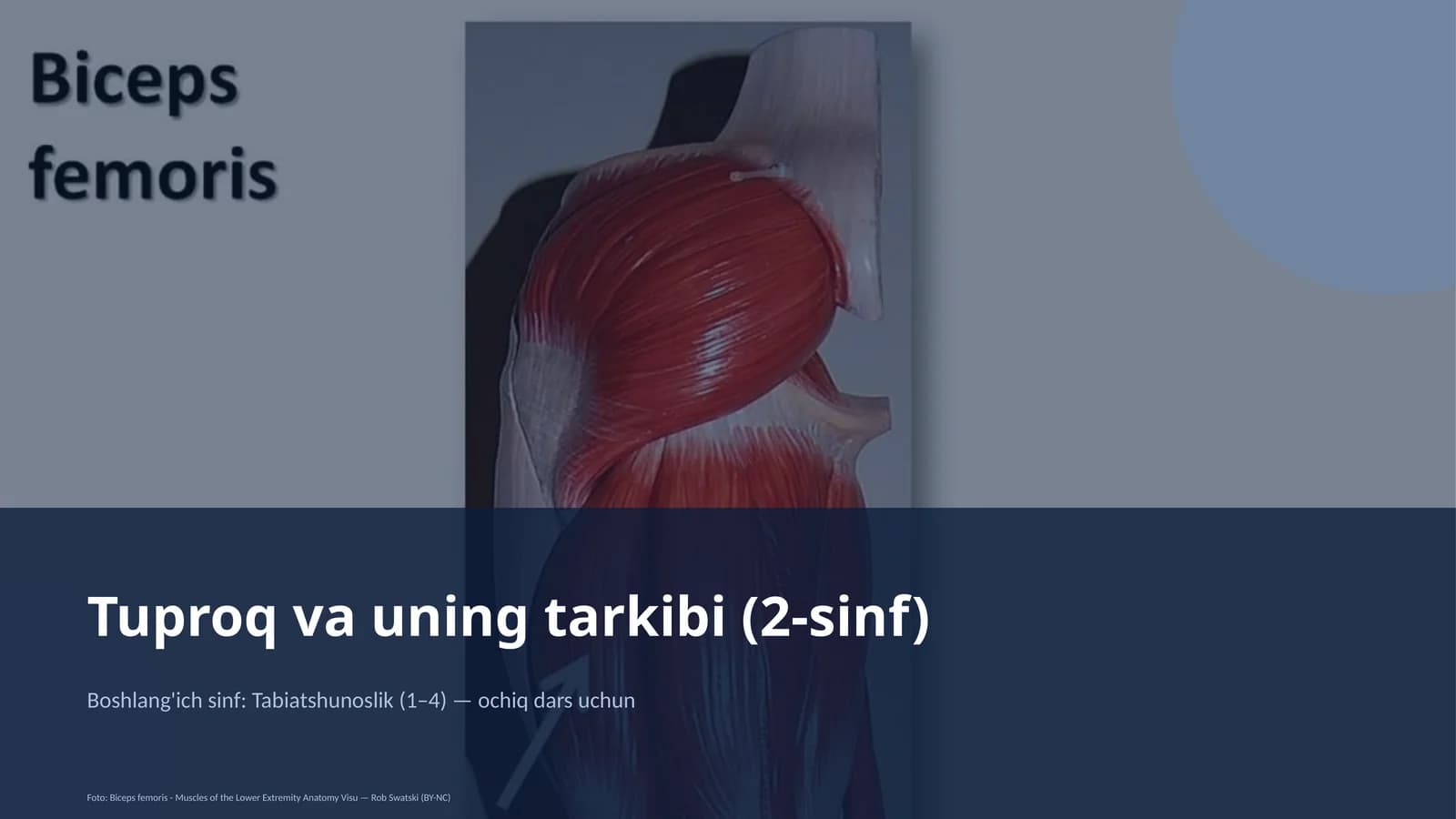 Troq va uning tarkibi (2-sinf)