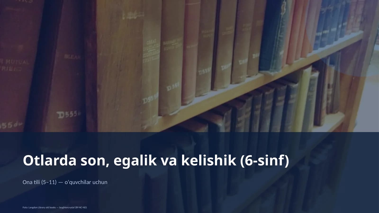 Otlarda son, egalik va kelishik (6-sinf)