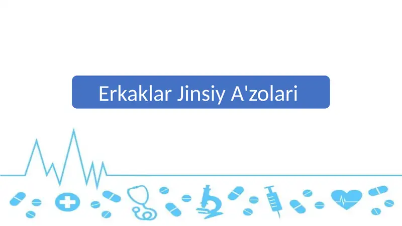 Erkaklar Jinsiy A'zolari