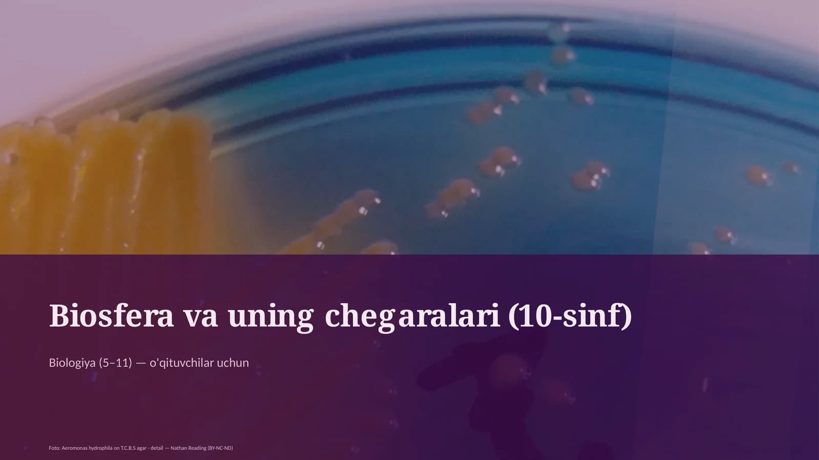 Biosfera va uning chegaralari (10-sinf)