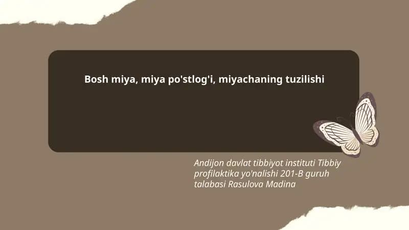 Bosh miya, miya po'stlog'i, miyachaning tuzilishi