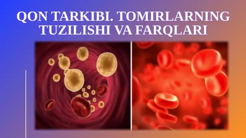 Qontarkibi.Tomirlarning tuzilishi va farqlari