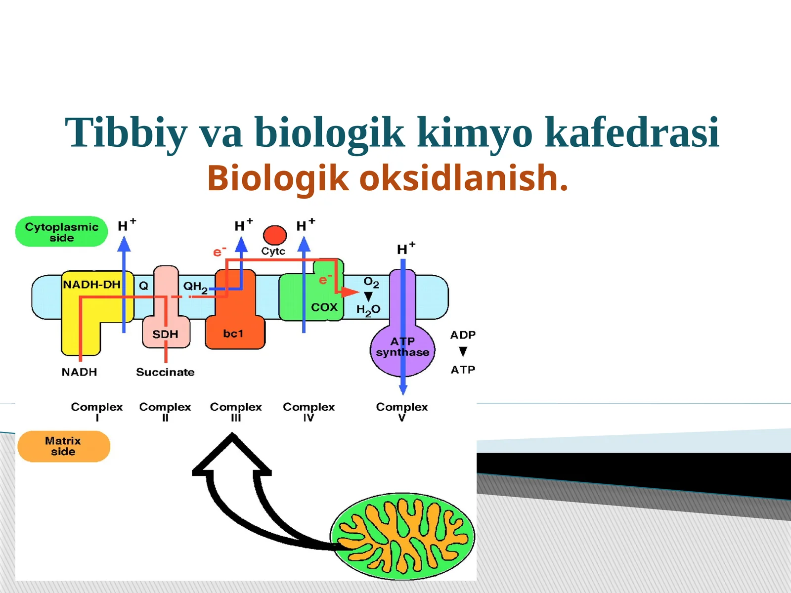 Biologik oksidlanish.